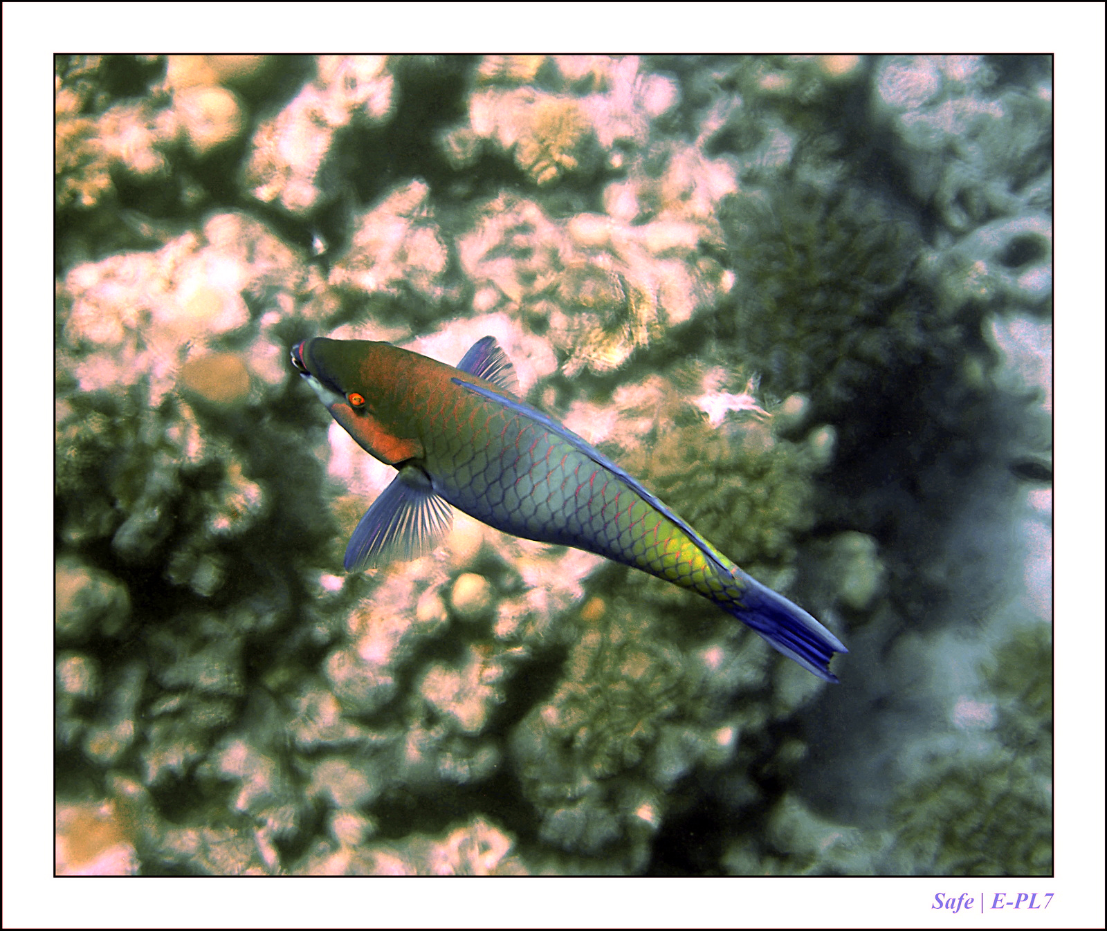 Hurghada - Juillet 2021 - 022